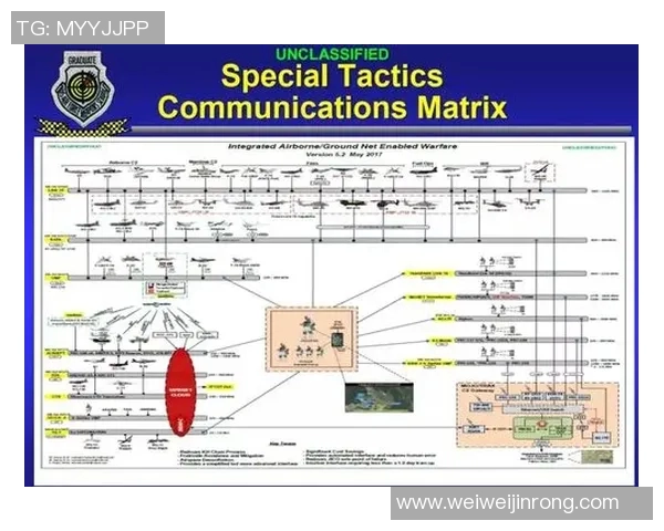 北京飞盘队意识表现的数据分析与战术提升研究